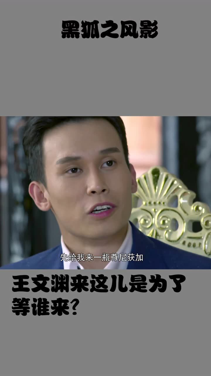 黑狐之风影王文渊来这儿是为了等谁来