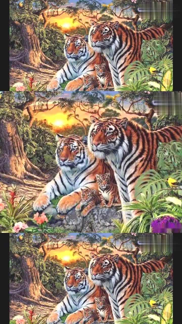 十六只老虎图图片