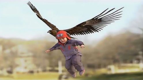 老鹰抓住小孩，没成想飞不起来，反被家长抓住，镜头拍下全过程！