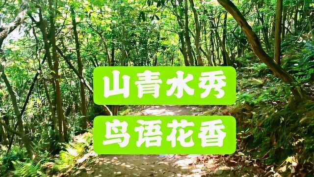 五一假期去哪亲子游,无锡市太湖边,山青水秀鸟语花香