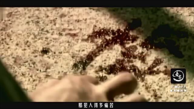 揭秘杀人不眨眼的刽子手,是如何把犯人一刀毙命的