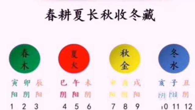 学八字,快速记忆十二地支