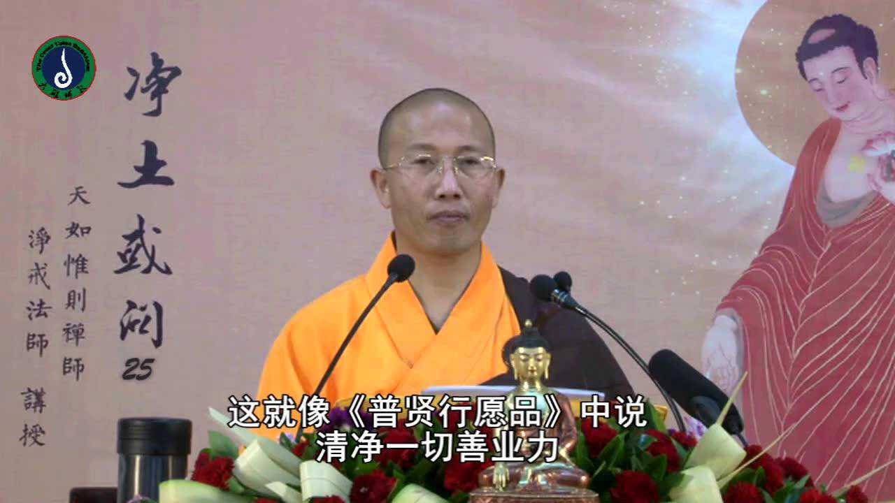 净土或问25_高清1080P在线观看平台_腾讯视频