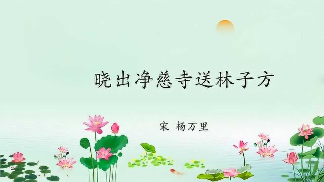 晓出净慈寺送林子方宋杨万里西湖夏日美景小学古诗词