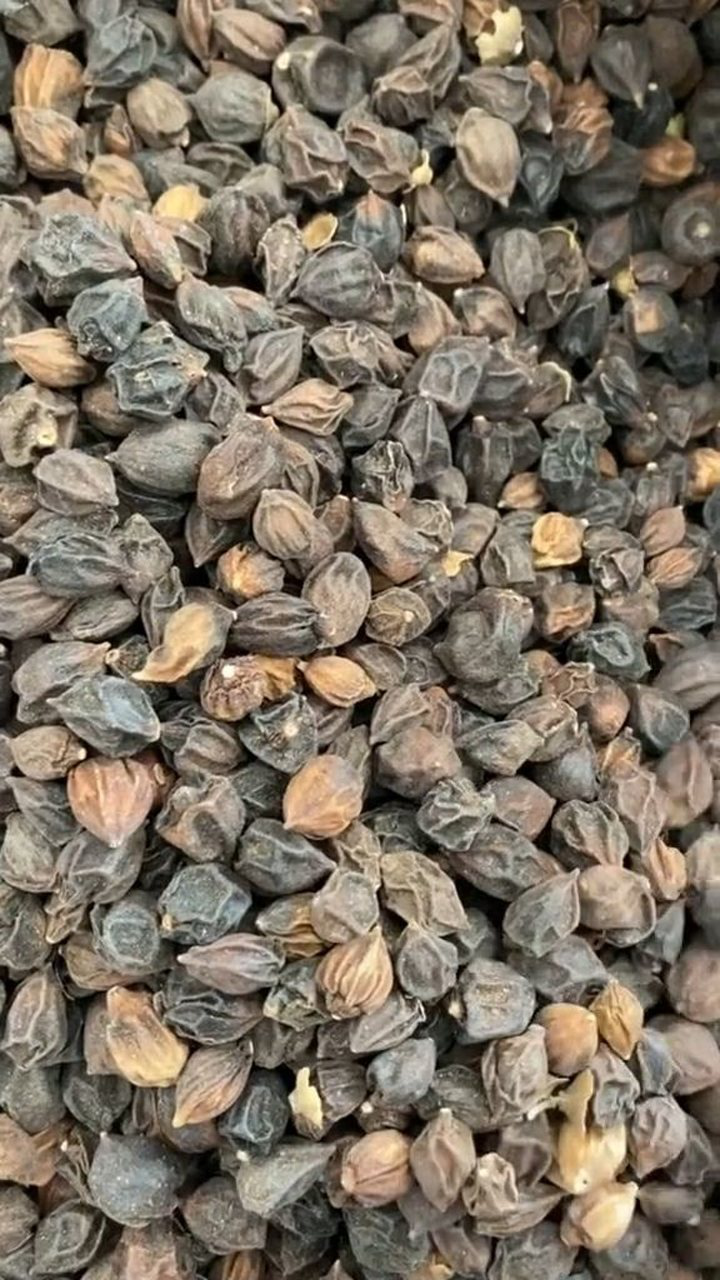 破布木果产地西藏,行气止痛化痰止咳心胃气痛湿热腹泻