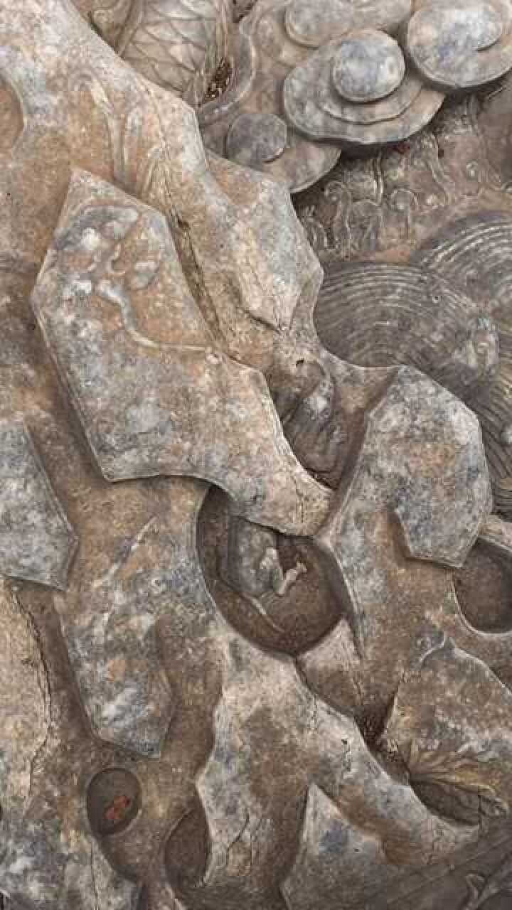 故宫壁虎五百岁了