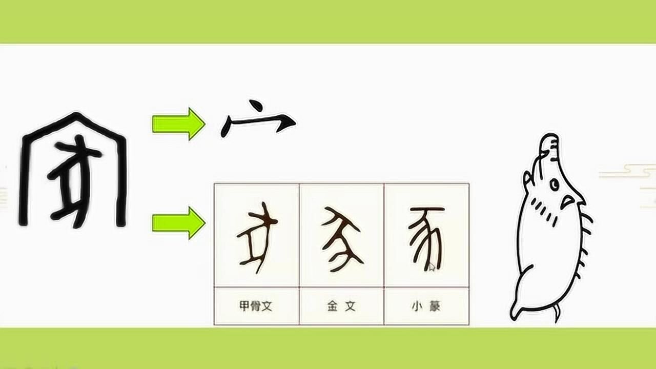 猪字的演变过程图解释图片