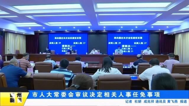 市人大常委会审议决定相关人事任免事项