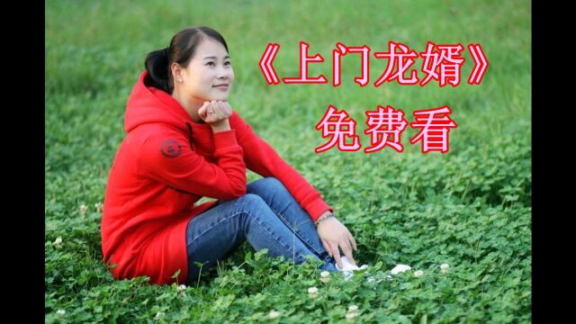 上门龙婿免费看全书