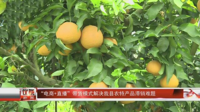 “电商+直播”带货模式解决仪陇农特产品滞销难题