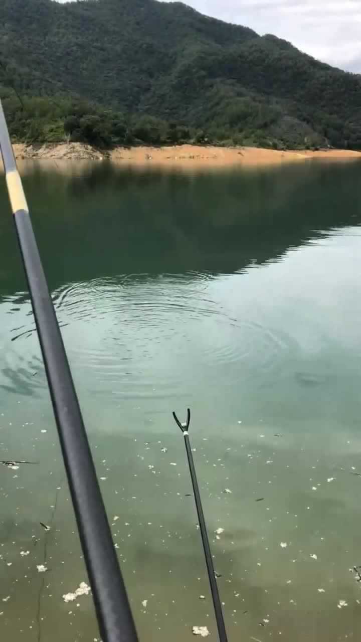 小伙野外钓鱼这提竿动作真给力就是钓到的鱼有些小