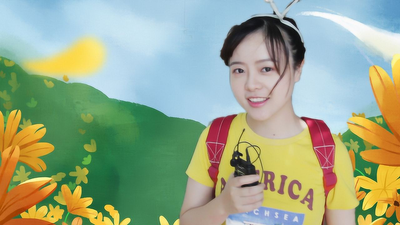多乐玩具总动员 207集