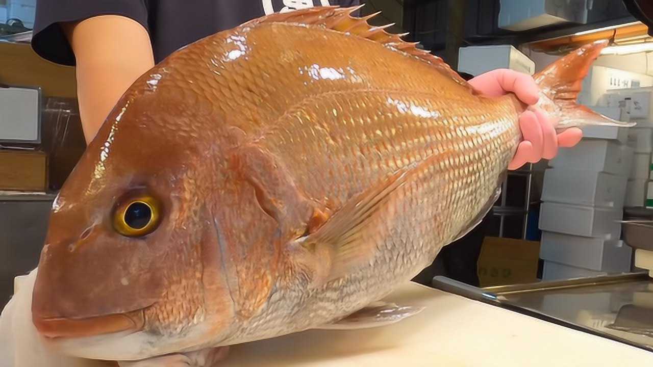 红鲷鱼做刺身,肉嫩爽口,很受欢迎!