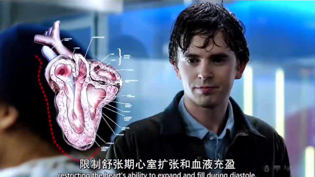 良医第一季01集2/3肖恩机场救人 医术初展