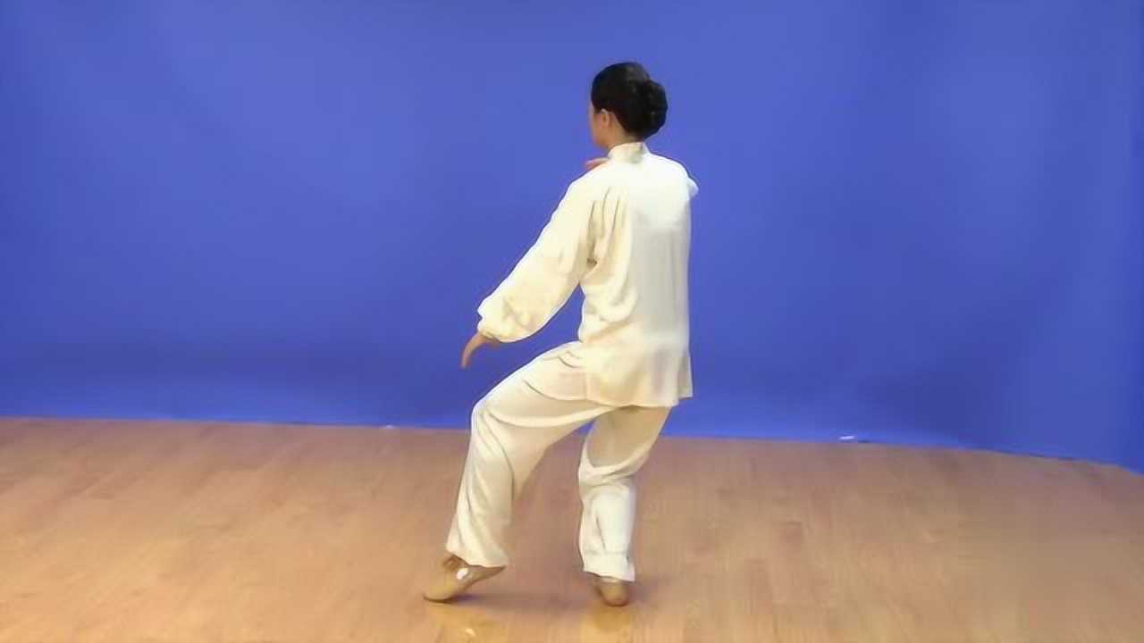 吴阿敏24式太极拳全套高清背向示范教学