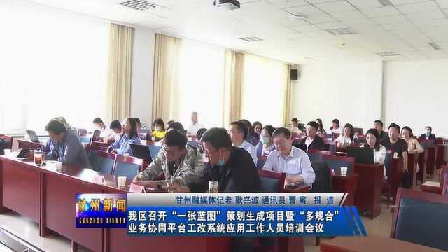 我区召开“一张蓝图”策划生成项目工作人员培训会议