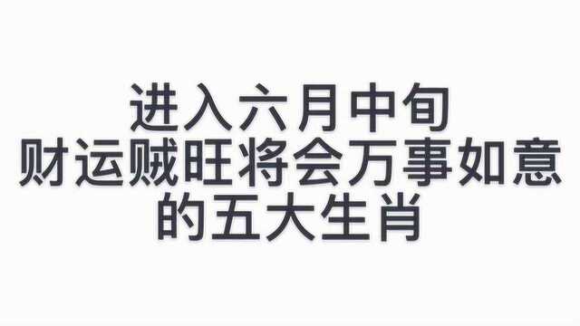 进入六月中旬,财运贼旺,将会万事如意的五大生肖