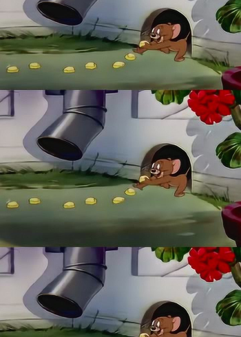 猫和老鼠:汤姆用奶酪一路把杰瑞引到了陷阱里