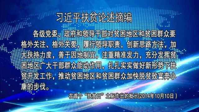 天天学扶贫论述摘编