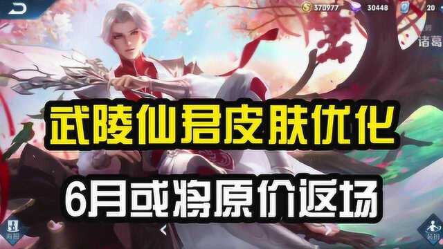 武陵仙君终于优化,大招和回城特效成两大亮点,6月或将原价返场!