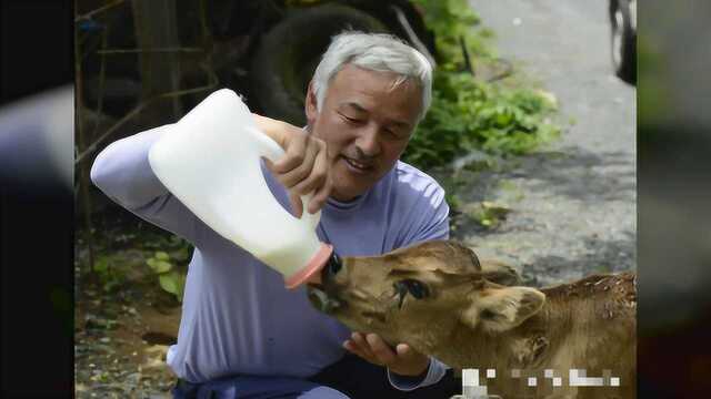 日本福岛核泄漏区唯一的活人,执意留下照顾变异动物,最终在一条狗身边离世