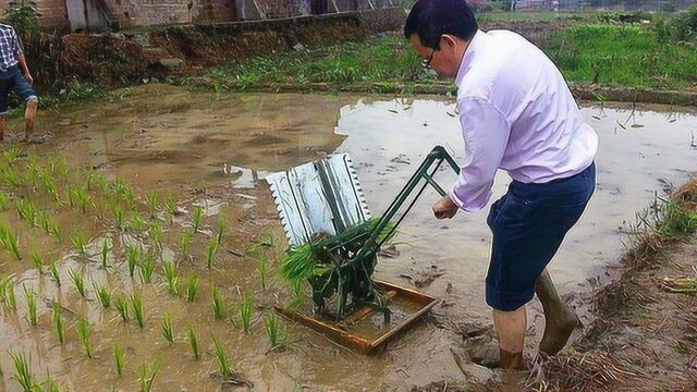 湖南农民发明“自动插秧机”,不用油不用电,一天能插亩秧苗