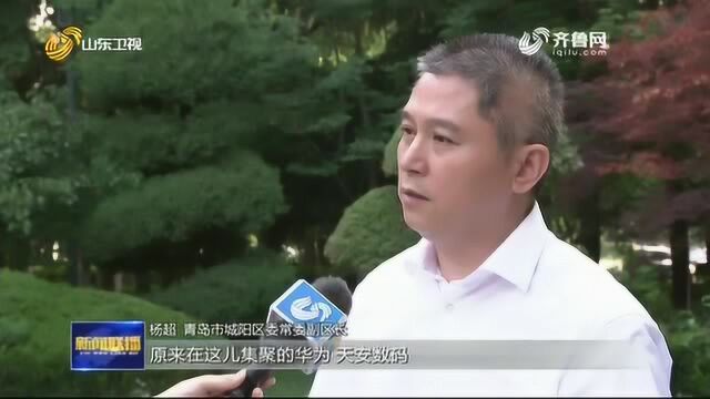 【重点项目巡礼】青岛:龙头企业带动 打造科技引领城