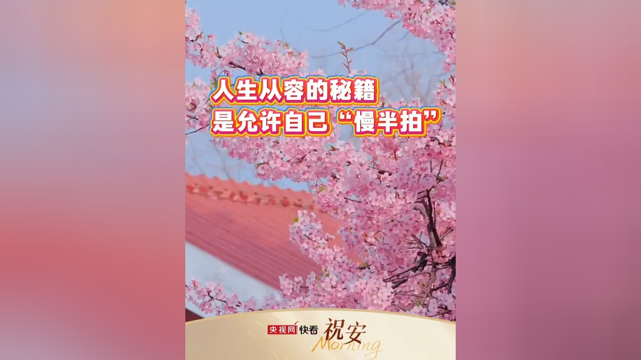 不必急着成为惊艳众人的模样，因为每一步前行，都算数_腾讯新闻