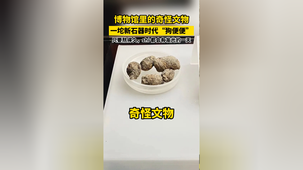 博物馆里的奇怪文物,一坨新石器时代的"狗便便"