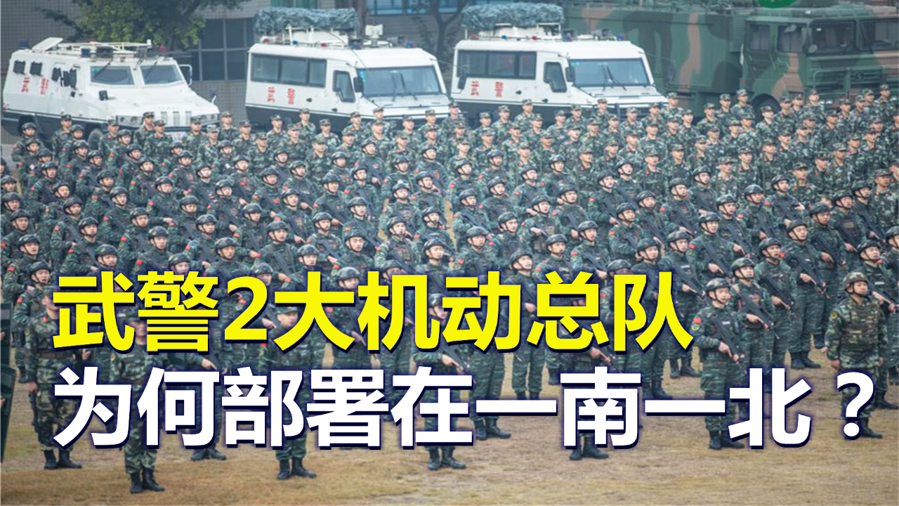 武警机动支队编制图片