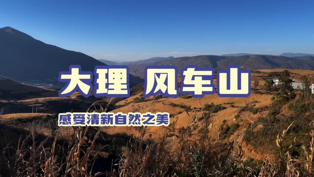 大理乌龙坝风车山感受清新自然之美