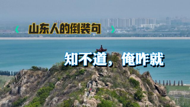 山东人爱说“倒装句”,网友:知不道啊,俺咋就?