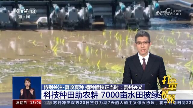 贵州兴义:科技种田助农耕,7000亩水田披绿装