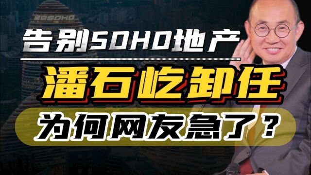 潘石屹告别SOHO地产,网友齐呼别让他跑了,企业家里他风评最差?