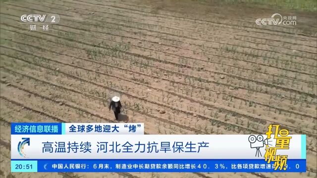 全球多地迎大“烤”:高温持续,河北全力抗旱保生产