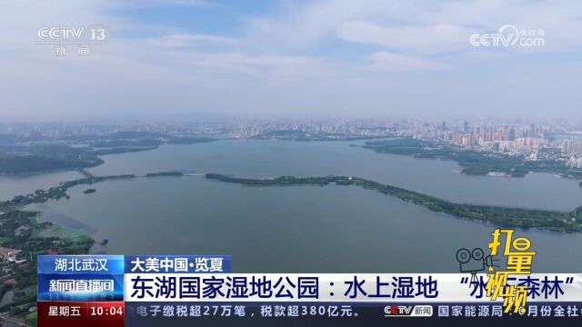 武汉:东湖国家湿地公园脱胎换骨,成为名副其实的“城市绿心”