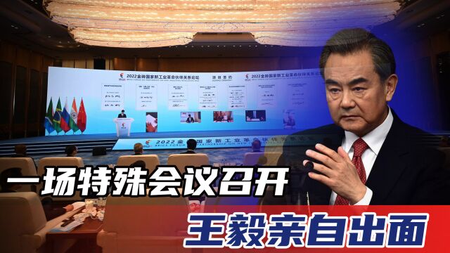 王毅出席第十三次金砖国家安全事务高级代表会议