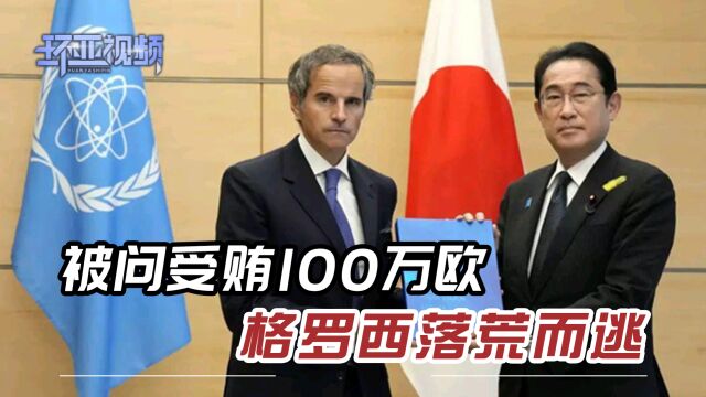 国际原子能机构,成众矢之的,被问受贿100万欧,格罗西落荒而逃