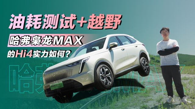 竞品中最家用的选择? 试驾哈弗枭龙MAX