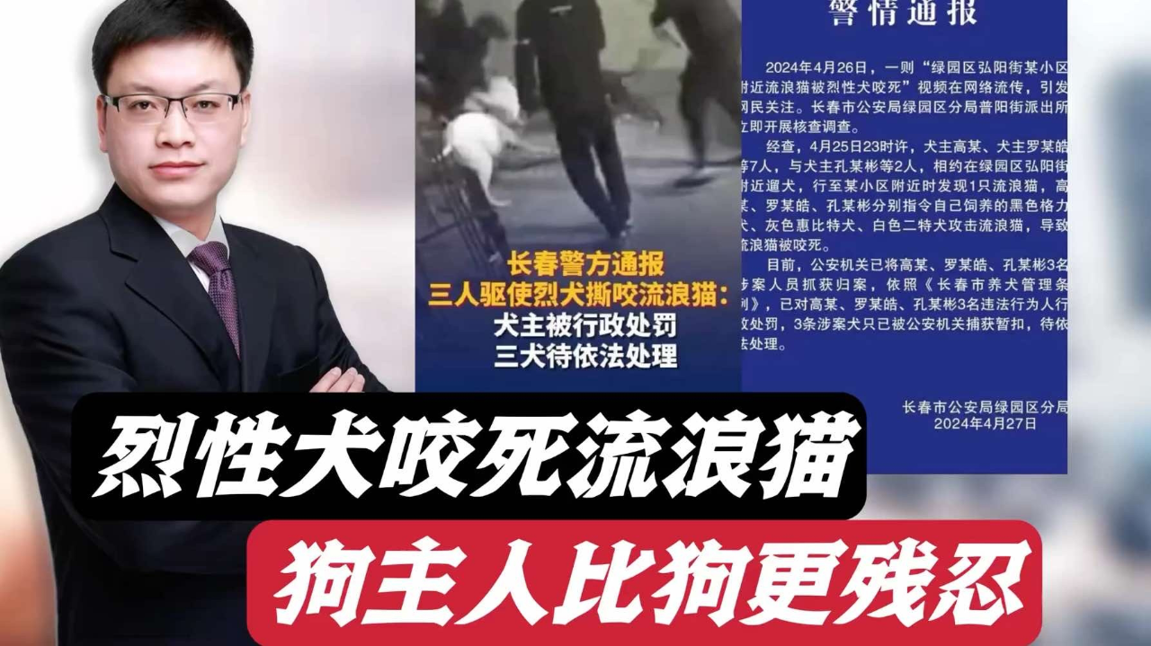 多名男子斗狗致流浪猫被咬死!长春警方通报!为什么要保护动物?