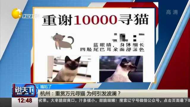 杭州:重赏万元寻猫,为何引发波澜?