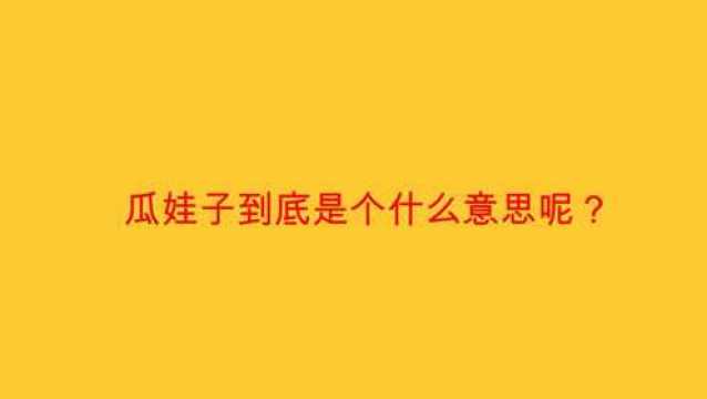 瓜娃子到底是个什么意思呢?