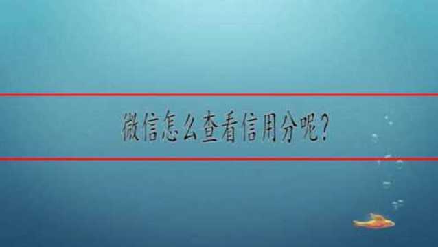 微信怎么查看信用分呢?