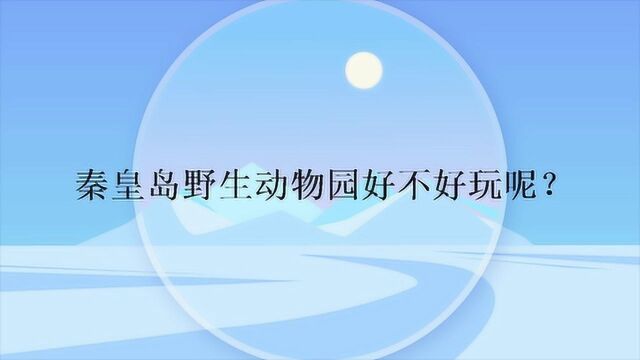 秦皇岛野生动物园好不好玩呢?