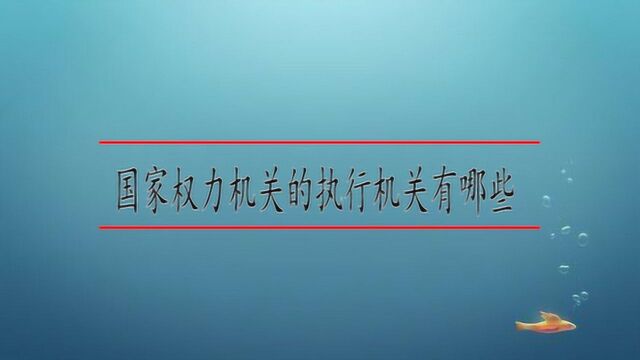 国家权力机关的执行机关有哪些