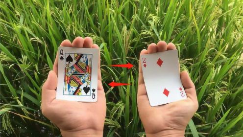 神奇的纸牌魔术：扑克牌在手上瞬间交换！特简单，学会后骗朋友玩
