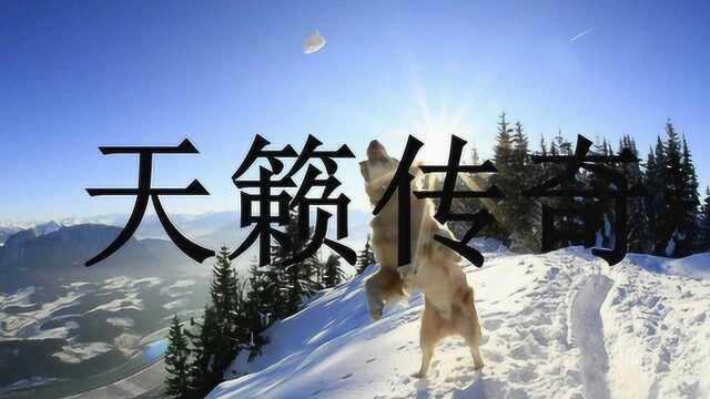 天籁传奇 悦听mv