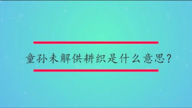 童孙未解供耕织是什么意思?