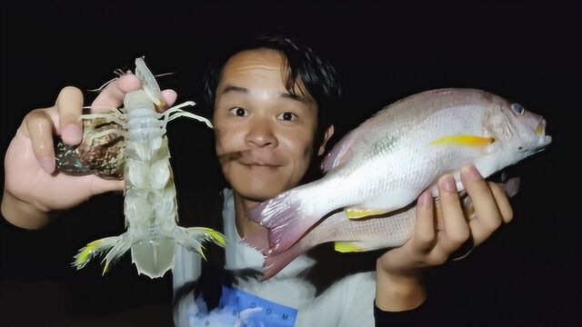 小诗半夜去赶海,收获鲍鱼、海鳗、皮皮虾,都是值钱的好货