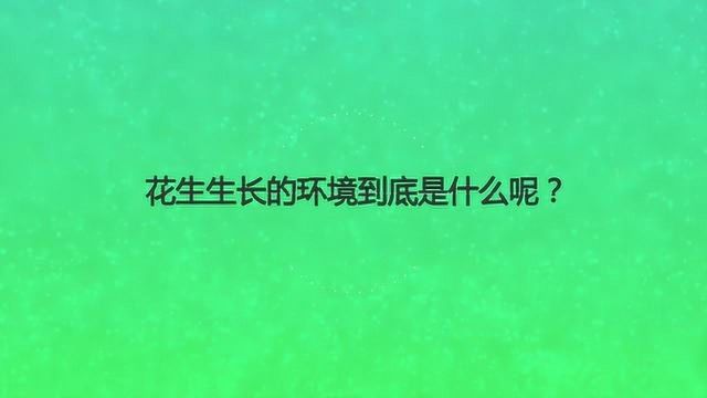 花生生长的环境到底是什么呢?